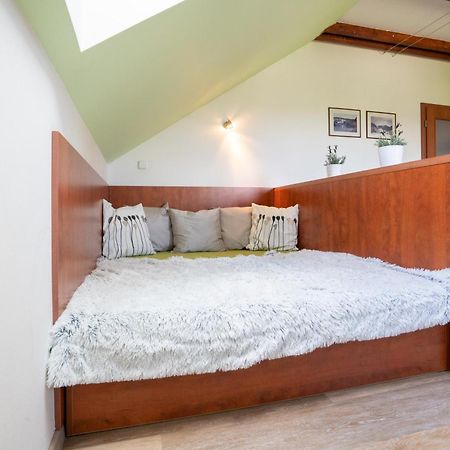 Apartman Lipa-Lipno リプノ・ナト・ヴルタヴォウ エクステリア 写真